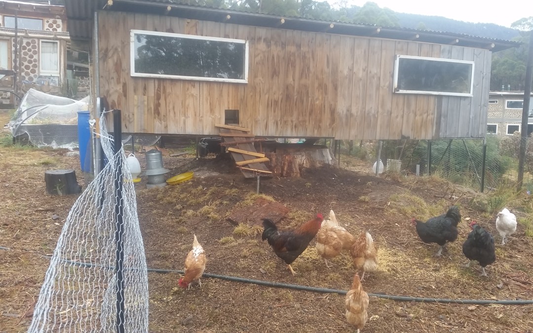 Real Estate for A Poultry Sum