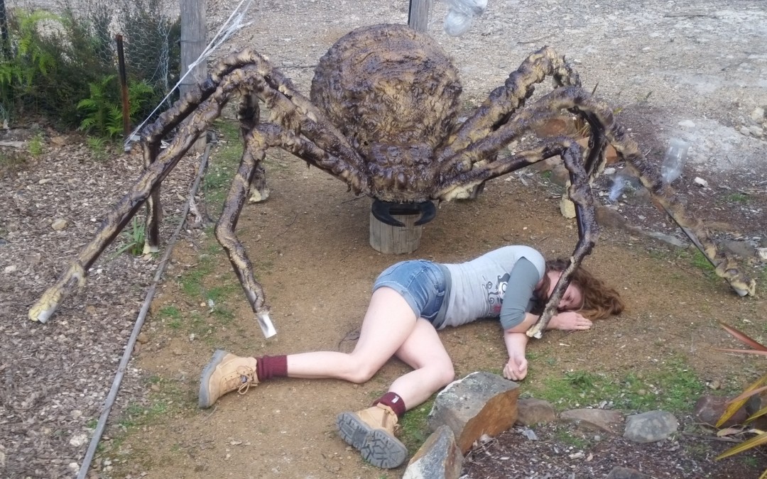 Giant Spider